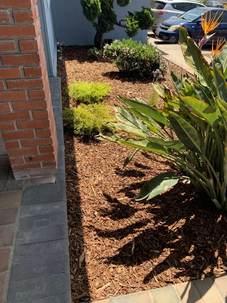 Expert residential landscaping experts serving Pacifica, CA - Seafield Landscaping