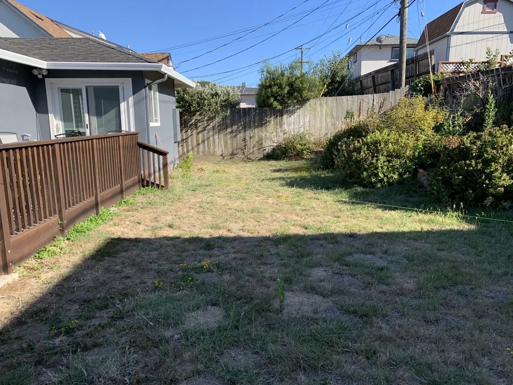 Professional yard cleanup service for year-round maintenance in Pacifica, CA by Seafield Landscaping