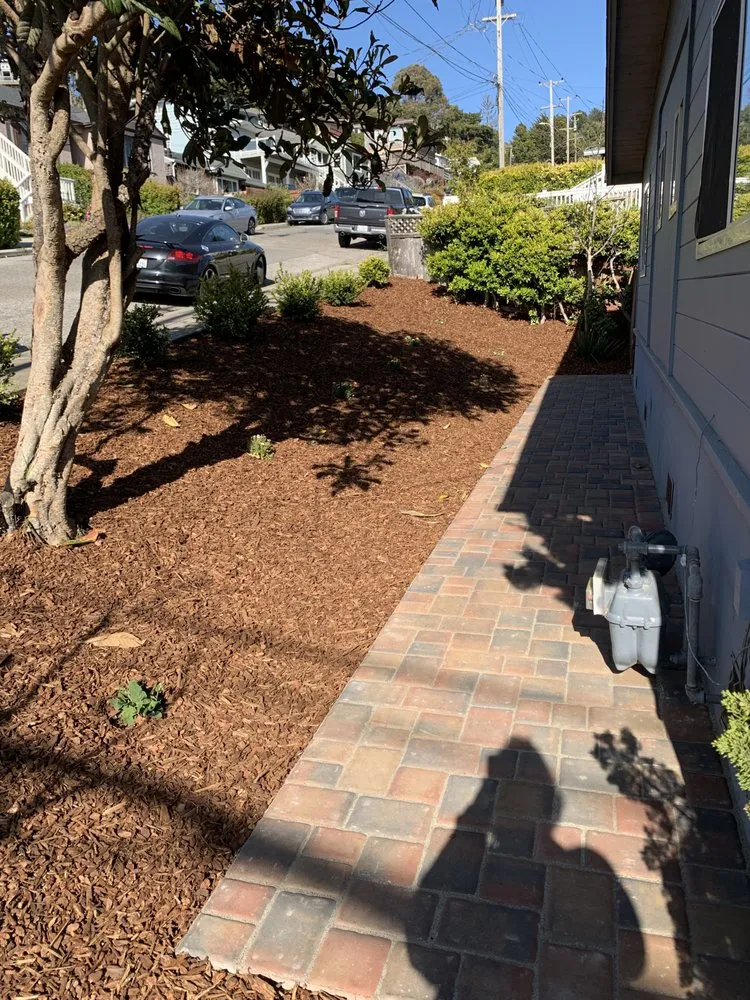 Affordable lawn care service in Pacifica, CA by Seafield Landscaping