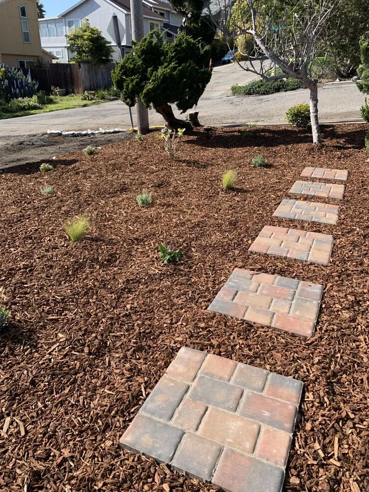 Affordable landscaping services near you in Pacifica, CA by Seafield Landscaping