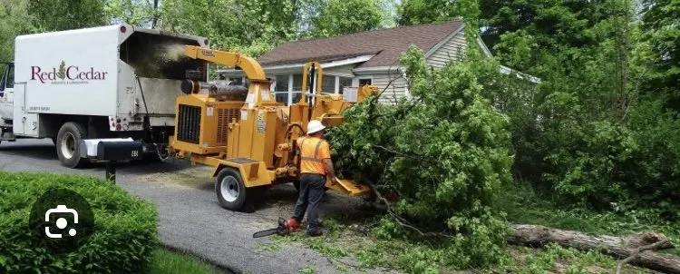 Custom lawn care service with custom design across New Orleans, LA - Seagrass Lawn & Tree Service