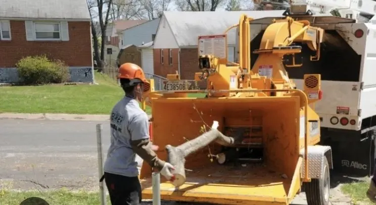 Local outdoor landscaping in New Orleans, LA - Seagrass Lawn & Tree Service