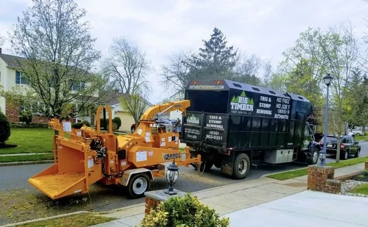 Top-rated landscaping services in New Orleans, LA - Seagrass Lawn & Tree Service