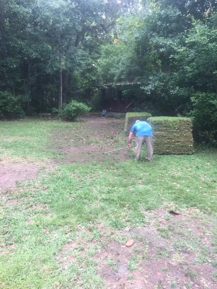 Top-rated landscaping services for outdoor upgrades in Ocean Springs, MS by Seagull Point Landscaping