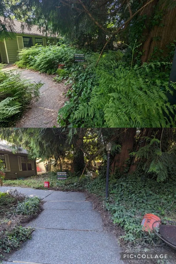 Affordable residential landscaping for year-round maintenance across Tacoma, WA - Seahawk Lawn Service