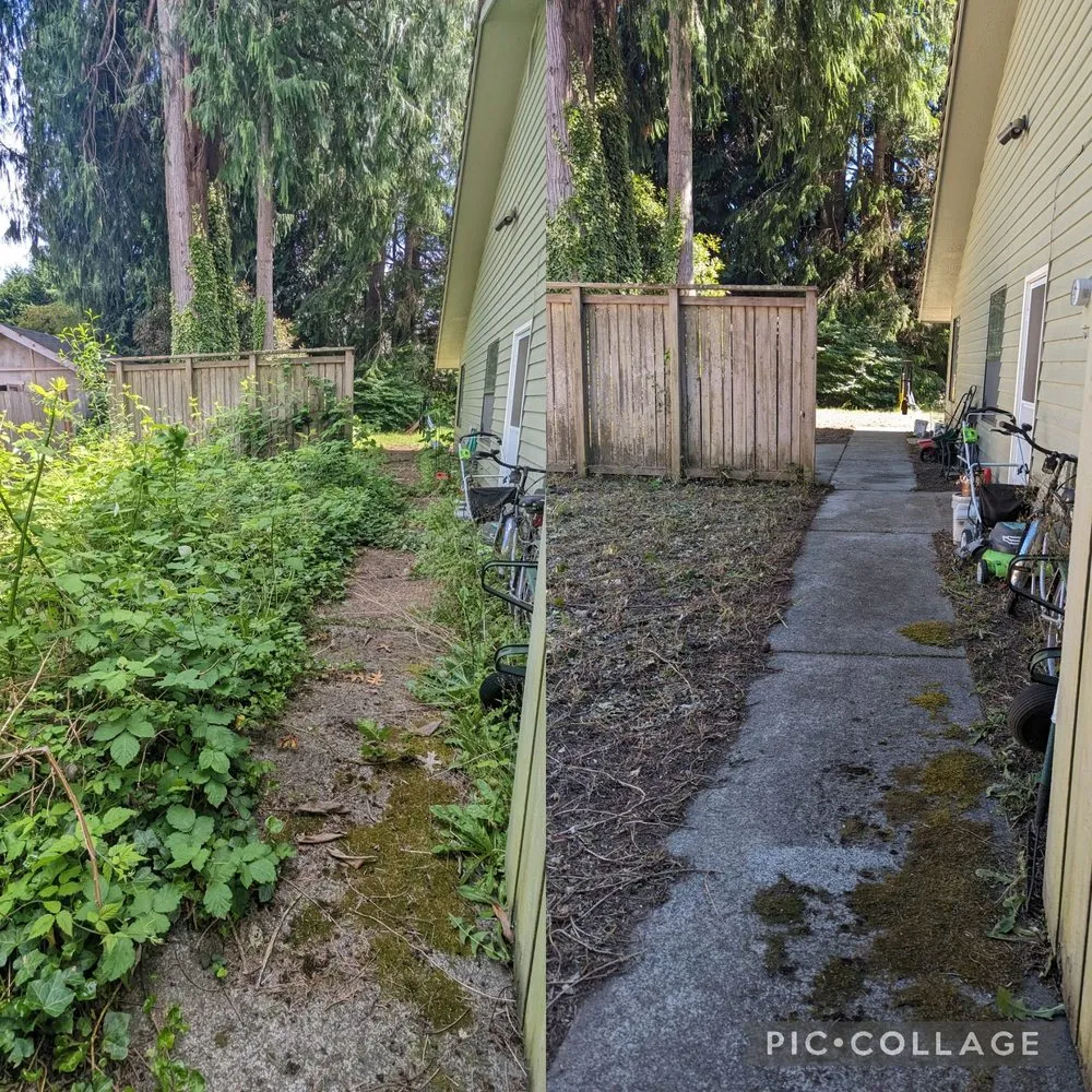 Professional outdoor landscaping in Tacoma, WA - Seahawk Lawn Service