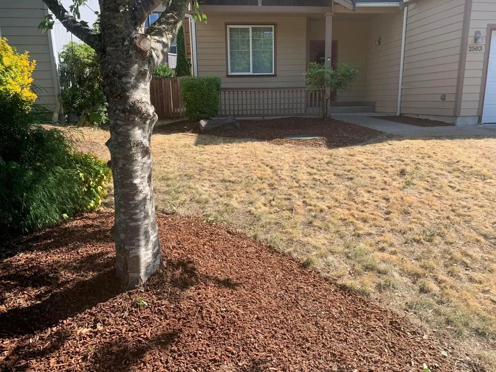 Top-rated lawn care service for homes in Tacoma, WA by Seahawk Lawn Service