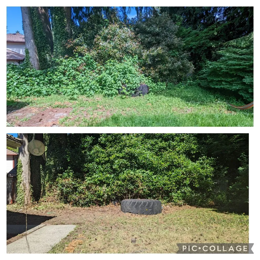 Affordable landscape design near you in Tacoma, WA by Seahawk Lawn Service