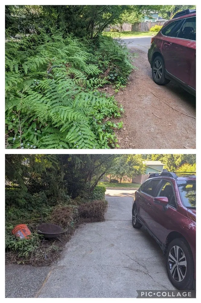 Affordable garden landscaping experts serving Tacoma, WA - Seahawk Lawn Service