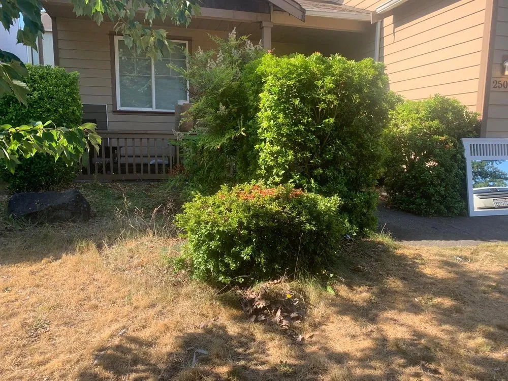 Custom yard cleanup service experts serving Tacoma, WA - Seahawk Lawn Service