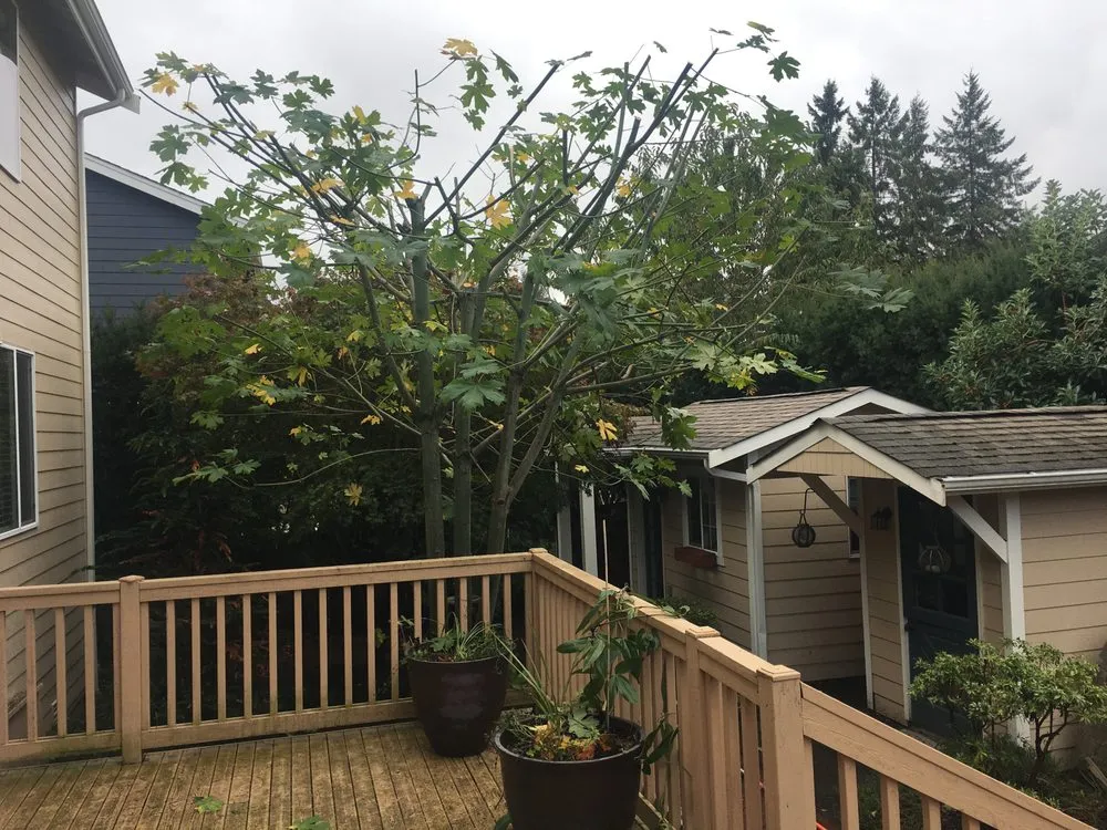 Custom landscaping services for beautiful yards across Tacoma, WA - Seahawk Lawn Service