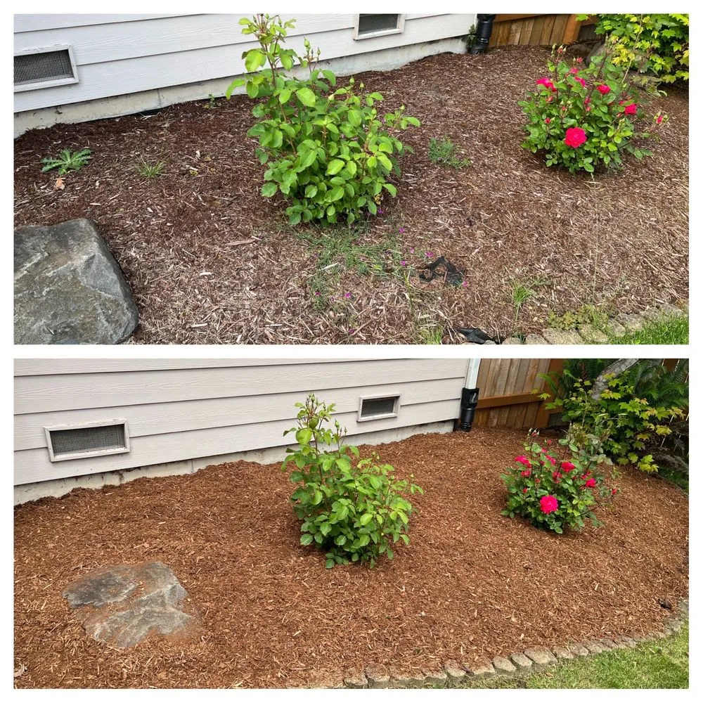 Custom lawn care service for residential properties across Tacoma, WA - Seahawk Lawn Service