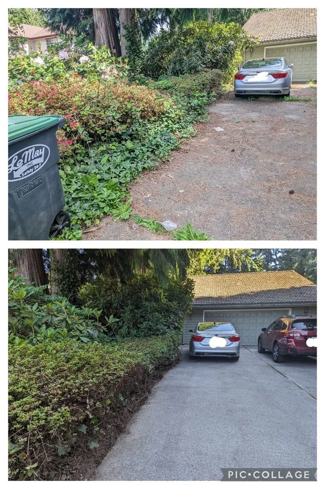 Trusted outdoor landscaping experts serving Tacoma, WA - Seahawk Lawn Service
