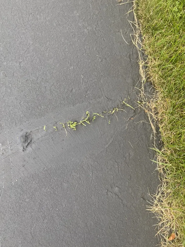 Custom yard maintenance in Woodbury, MN by Seal King