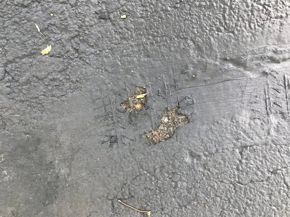 Affordable residential landscaping for beautiful yards in Woodbury, MN by Seal King