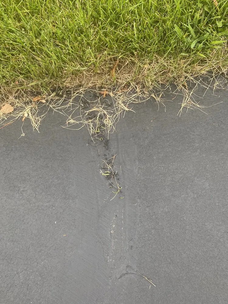 Local landscape design experts serving Woodbury, MN - Seal King