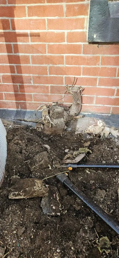 Local residential landscaping in Quakertown, PA - Seal Pro & Landscape