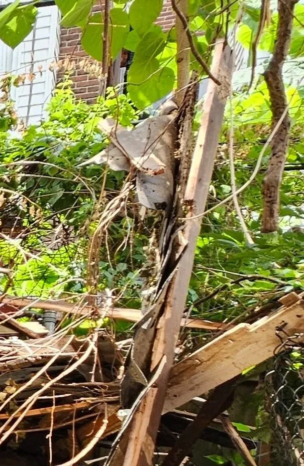 Professional lawn care service for residential properties across Quakertown, PA - Seal Pro & Landscape