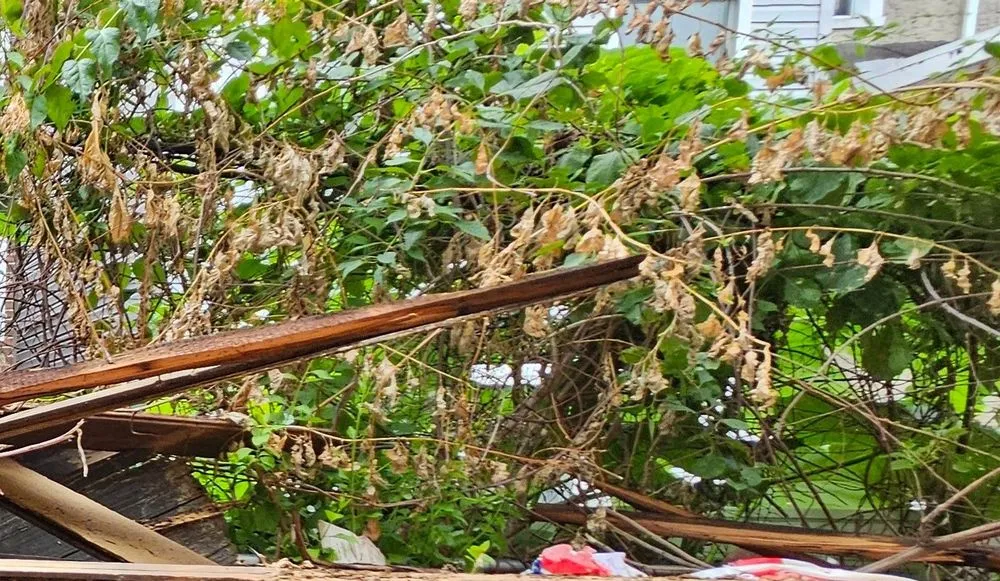 Custom garden landscaping for outdoor upgrades across Quakertown, PA - Seal Pro & Landscape