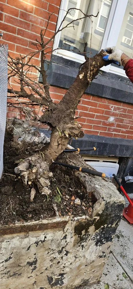 Reliable lawn mowing service in Quakertown, PA - Seal Pro & Landscape