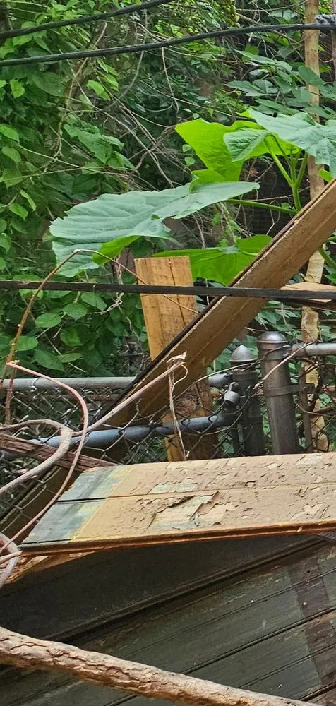 Local lawn mowing service in Quakertown, PA - Seal Pro & Landscape