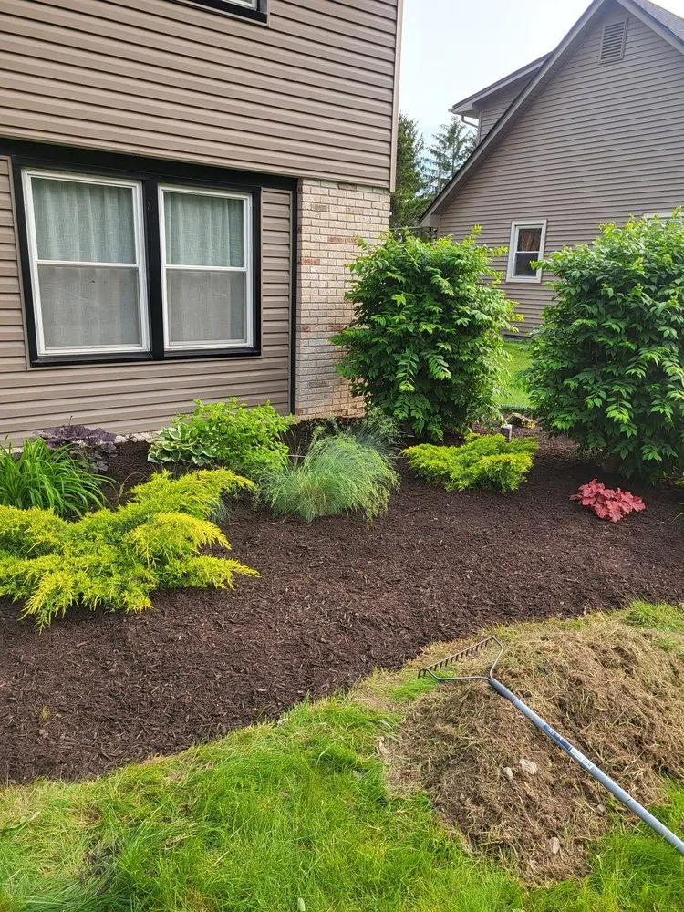 Top-rated lawn mowing service for homes across Gaston, IN - Seal The Deal