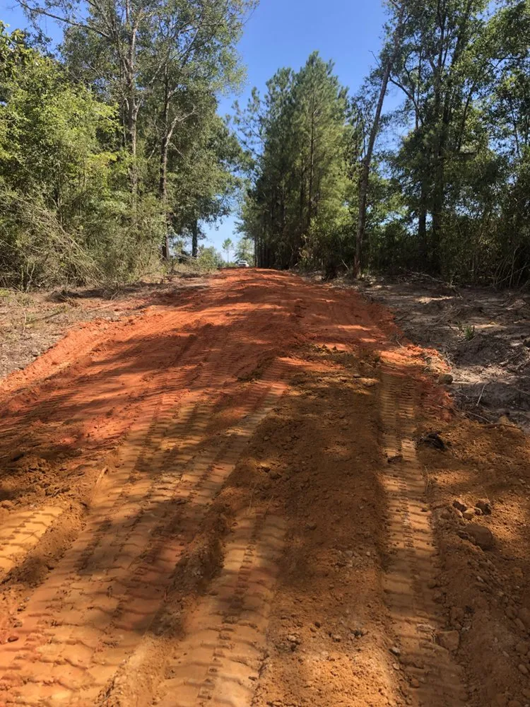Affordable yard maintenance for residential properties in Gulfport, MS by Seal Tree And Stump Removal