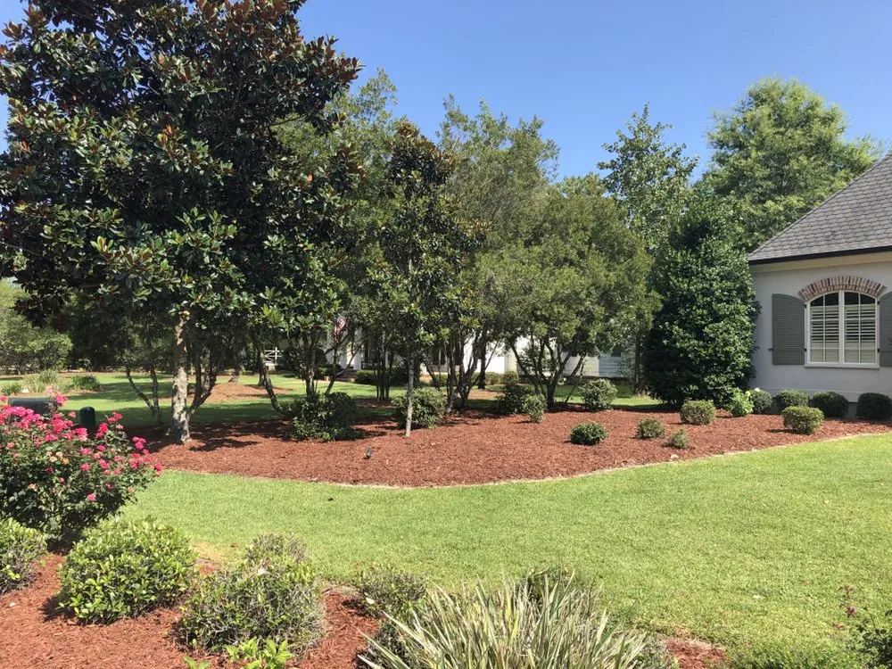 Affordable yard cleanup service experts serving Gulfport, MS - Seal Tree And Stump Removal