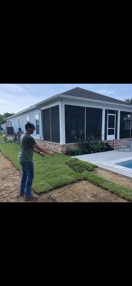 Affordable lawn care service in Gulfport, MS by Seal Tree And Stump Removal