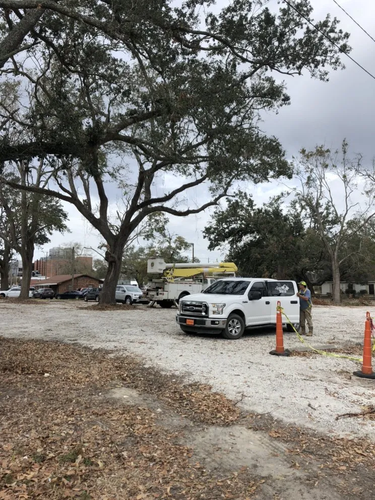 Trusted landscape design in Gulfport, MS by Seal Tree And Stump Removal