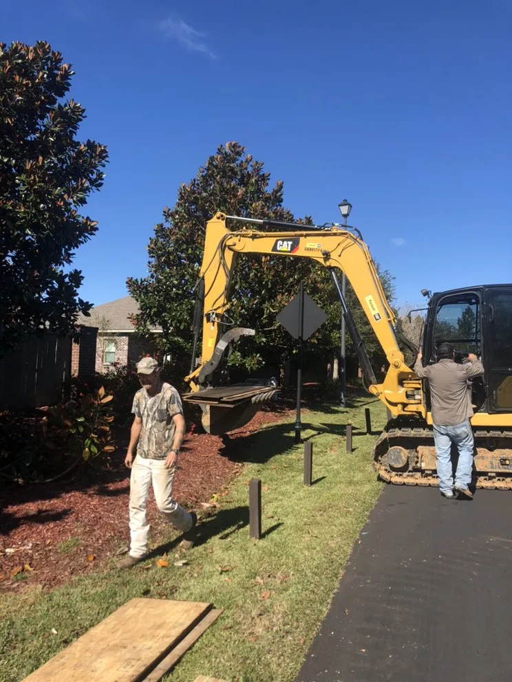 Reliable yard maintenance experts serving Gulfport, MS - Seal Tree And Stump Removal