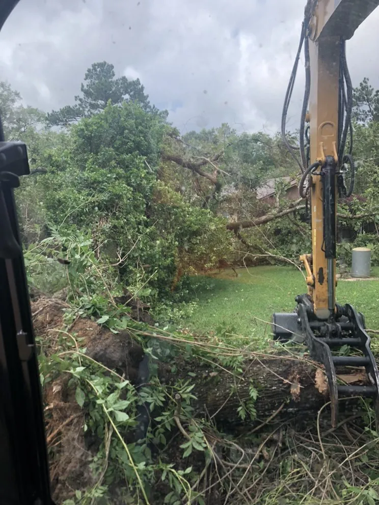 Professional yard maintenance in Gulfport, MS by Seal Tree And Stump Removal