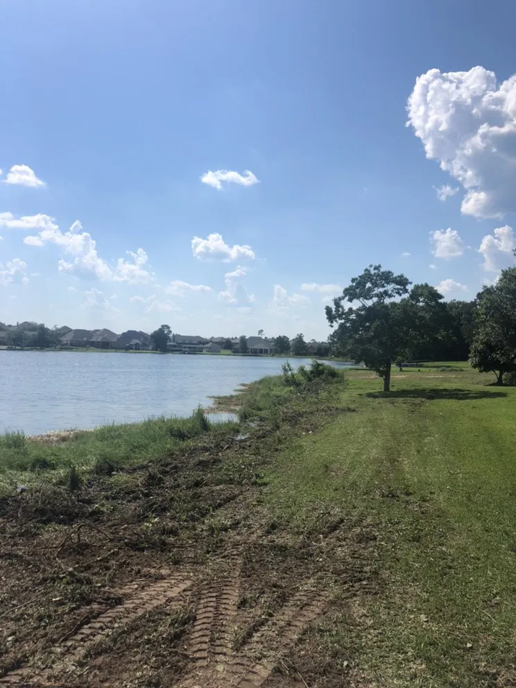 Affordable landscaping services in Gulfport, MS - Seal Tree And Stump Removal