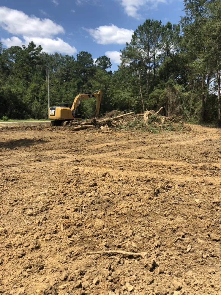 Top-rated yard cleanup service near you across Gulfport, MS - Seal Tree And Stump Removal