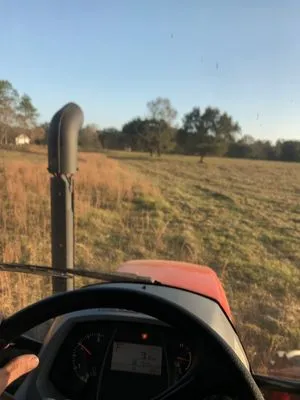 Seal Tree And Stump Removal Logo
