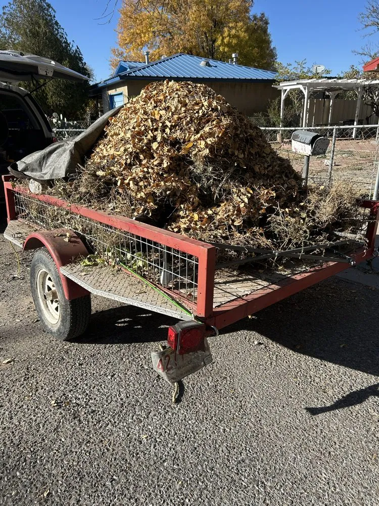 Professional yard cleanup service for homes across Los Lunas, NM - Seale Landscaping