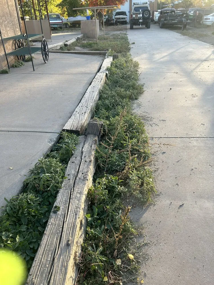 Reliable landscaping services in Los Lunas, NM - Seale Landscaping