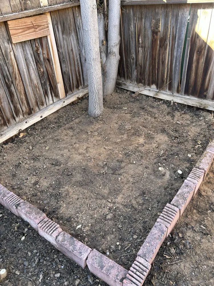 Top-rated yard cleanup service in Los Lunas, NM by Seale Landscaping