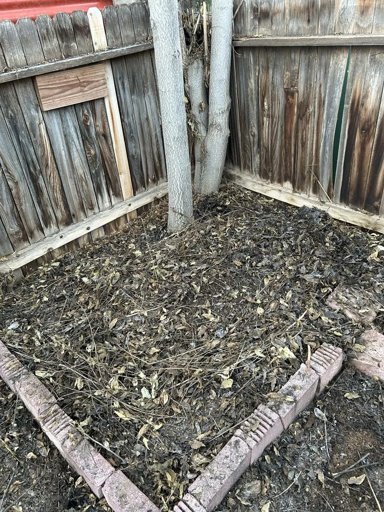 Reliable lawn mowing service in Los Lunas, NM - Seale Landscaping