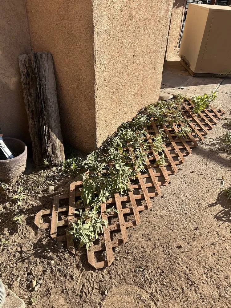 Custom outdoor landscaping in Los Lunas, NM by Seale Landscaping