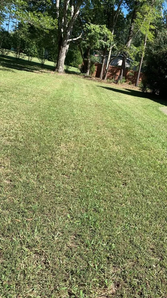 Expert garden landscaping experts serving Troy, NC - Seals Lawn Care