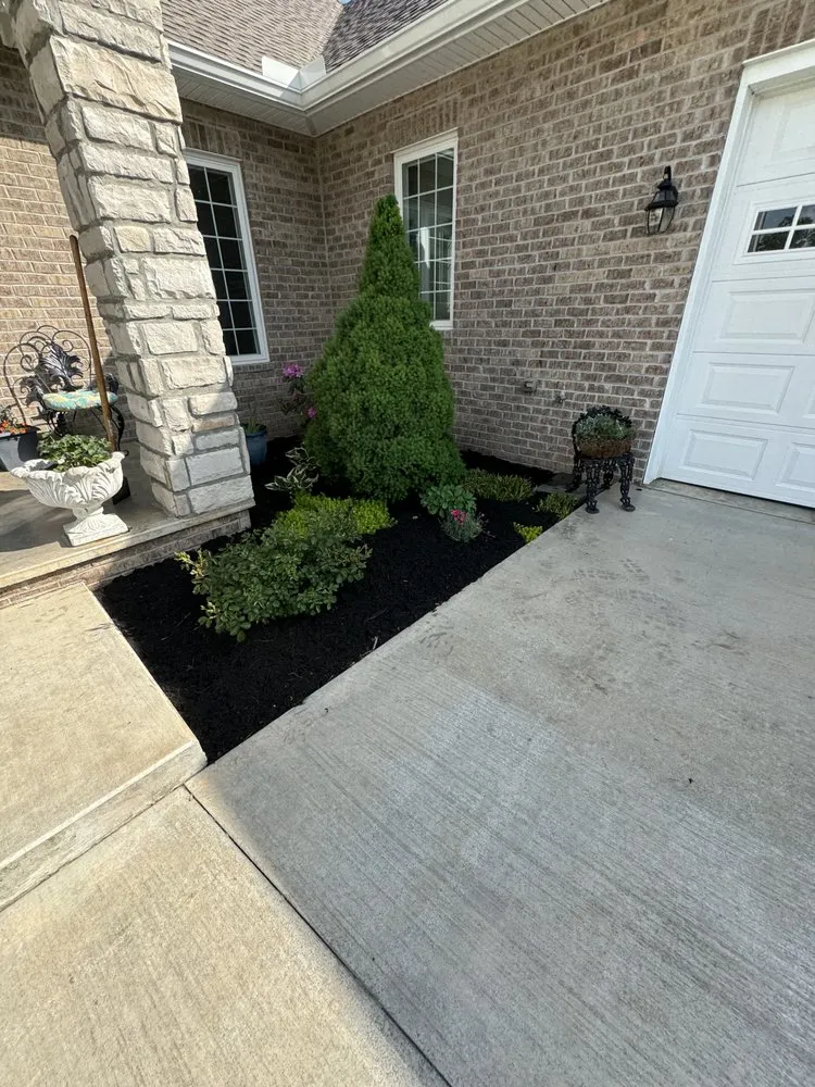 Affordable yard cleanup service experts serving Russellville, TN - Seals Property Management