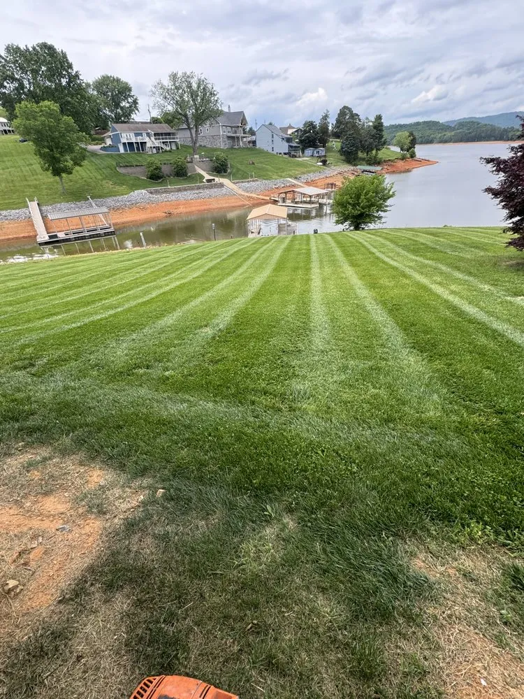 Expert yard maintenance for homes across Russellville, TN - Seals Property Management