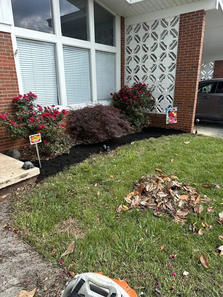 Trusted yard maintenance for homes across Russellville, TN - Seals Property Management