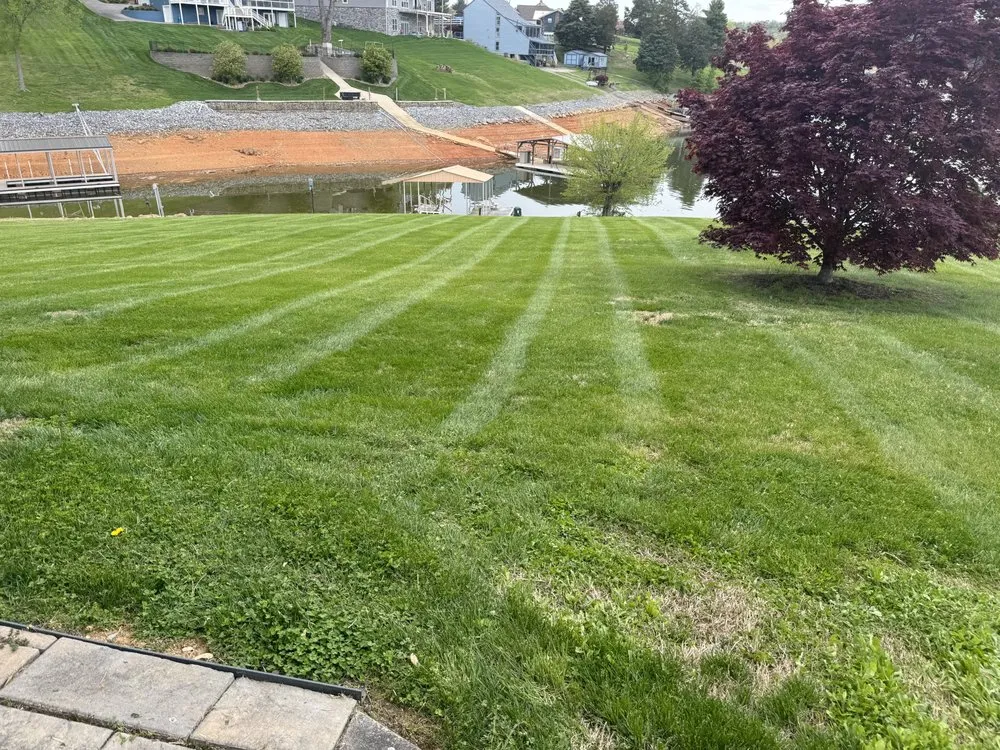 Reliable yard maintenance for homes in Russellville, TN by Seals Property Management