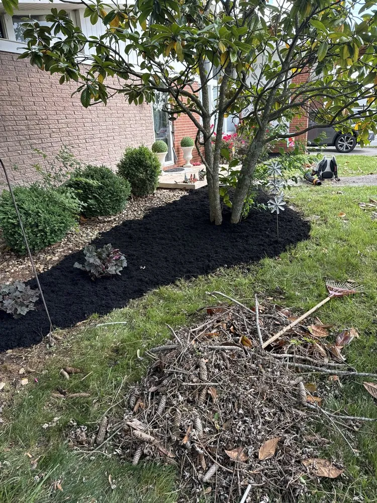 Reliable landscape design in Russellville, TN - Seals Property Management