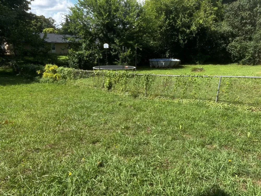 Affordable residential landscaping in Gaffney, SC - Sealy's Lawn Care and Handyman Services