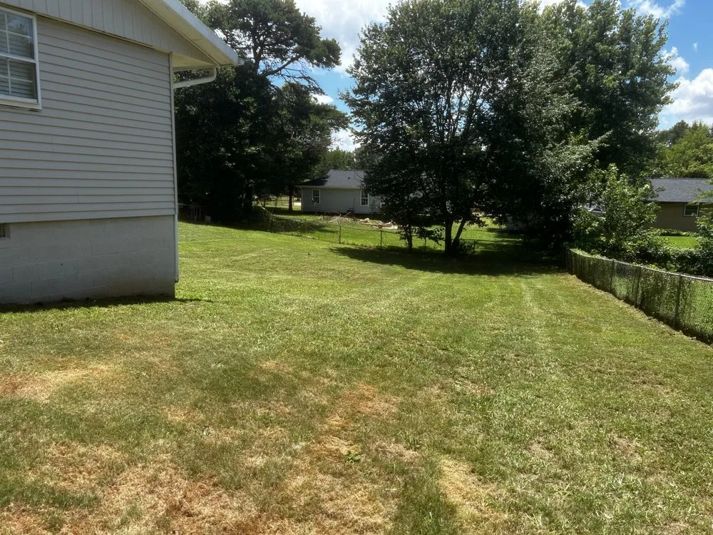 Professional yard maintenance for beautiful yards across Gaffney, SC - Sealy's Lawn Care and Handyman Services