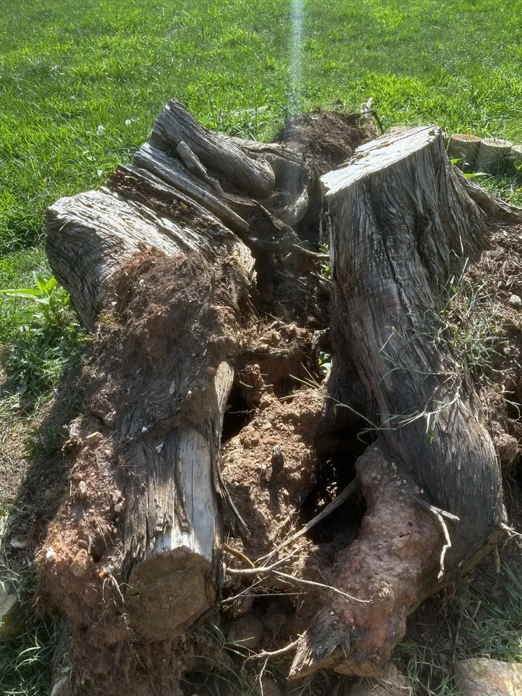 Affordable lawn mowing service in Gaffney, SC by Sealy's Lawn Care and Handyman Services