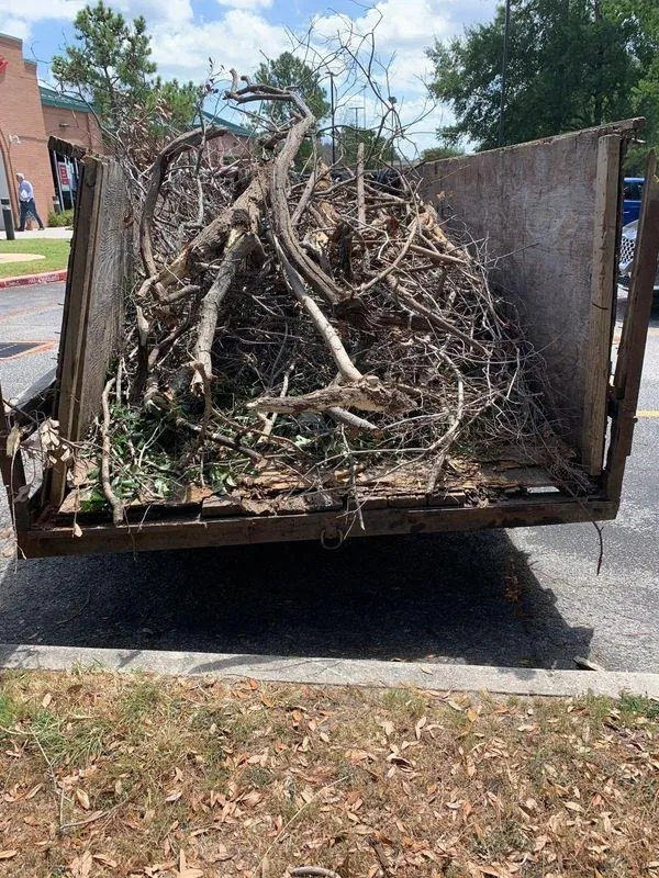 Professional landscaping services for homes in Magnolia, TX by Seamless Solutions